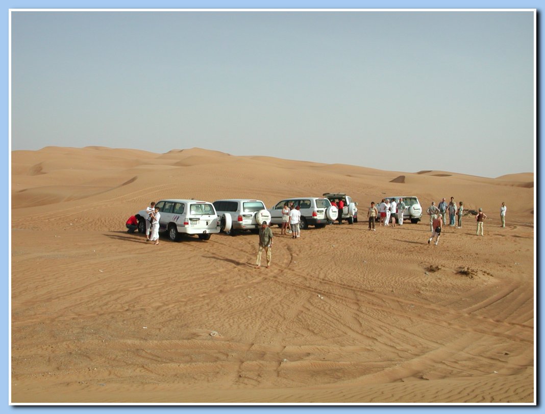 Safari in den Dnen