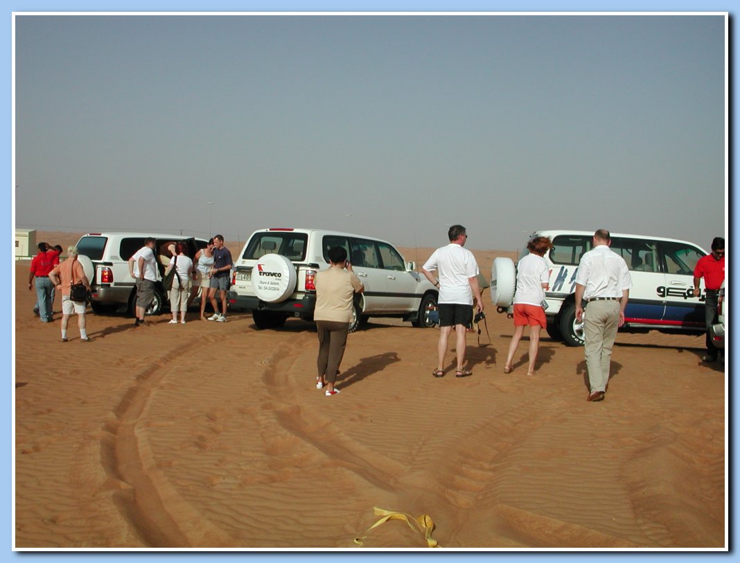 Safari in den Dnen