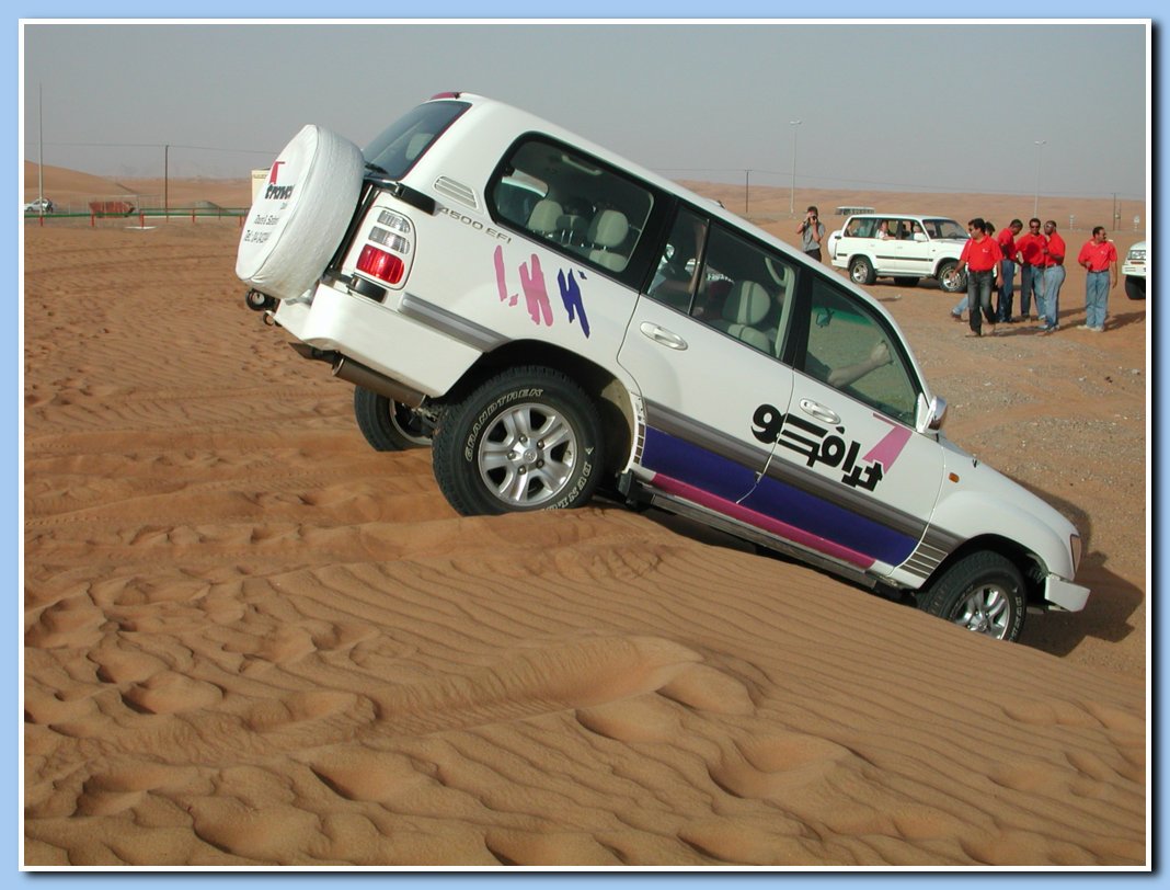Safari in den Dnen