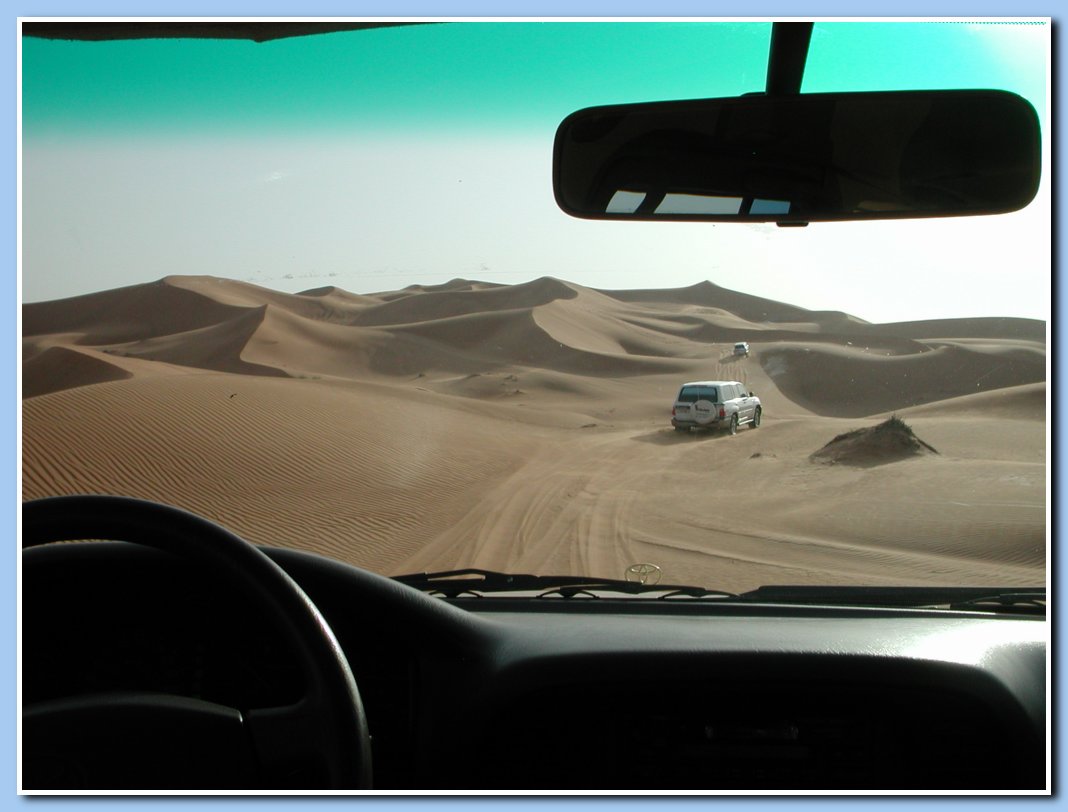 Safari in den Dnen