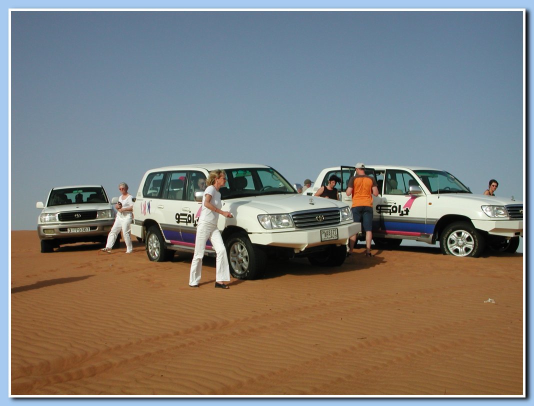 Safari in den Dnen
