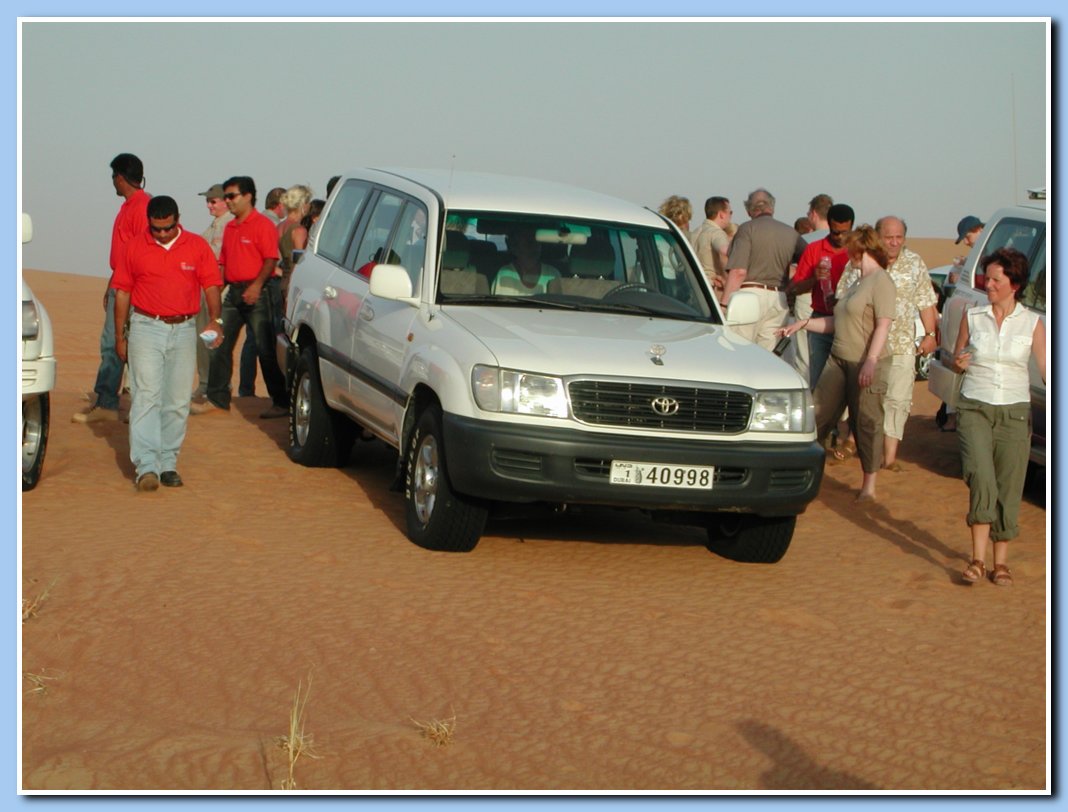 Safari in den Dnen