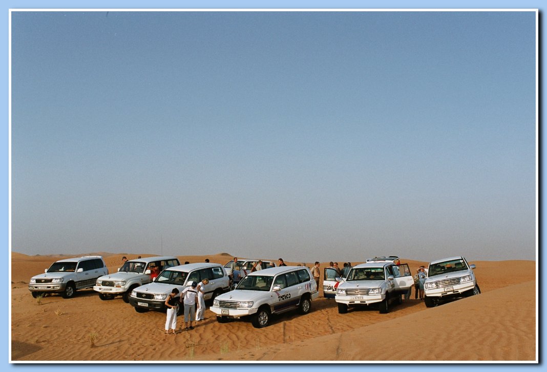 Safari in den Dnen