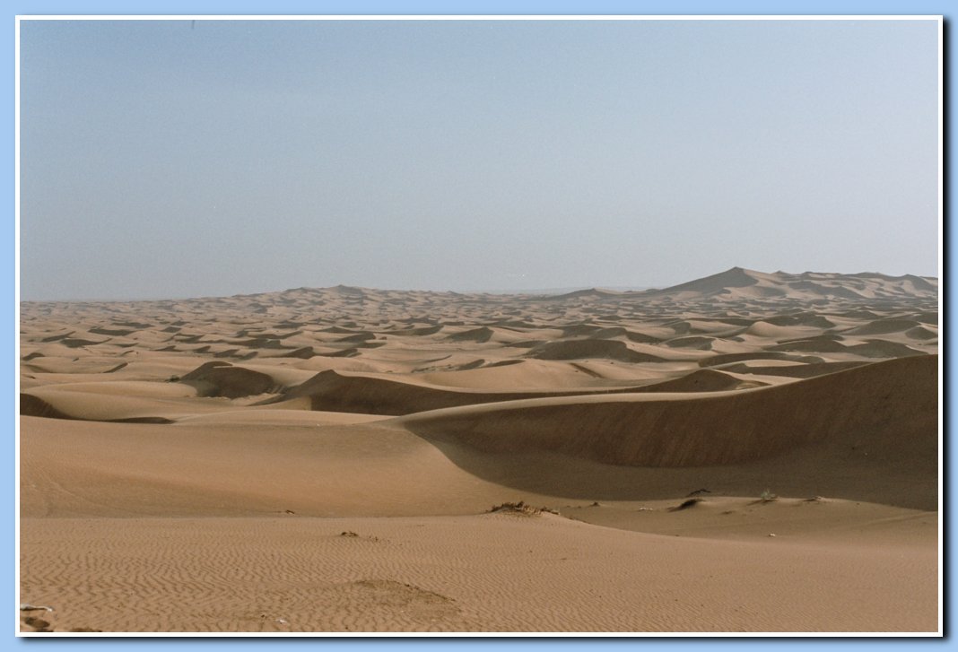 Safari in den Dnen