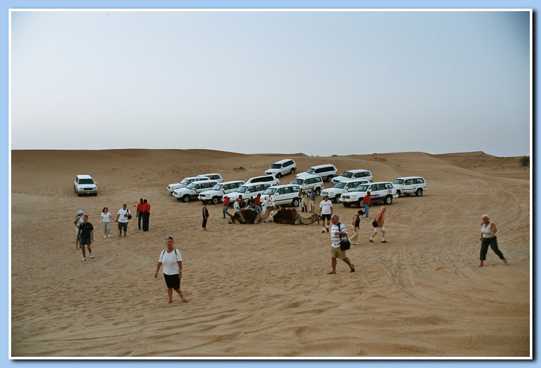 Safari in den Dnen
