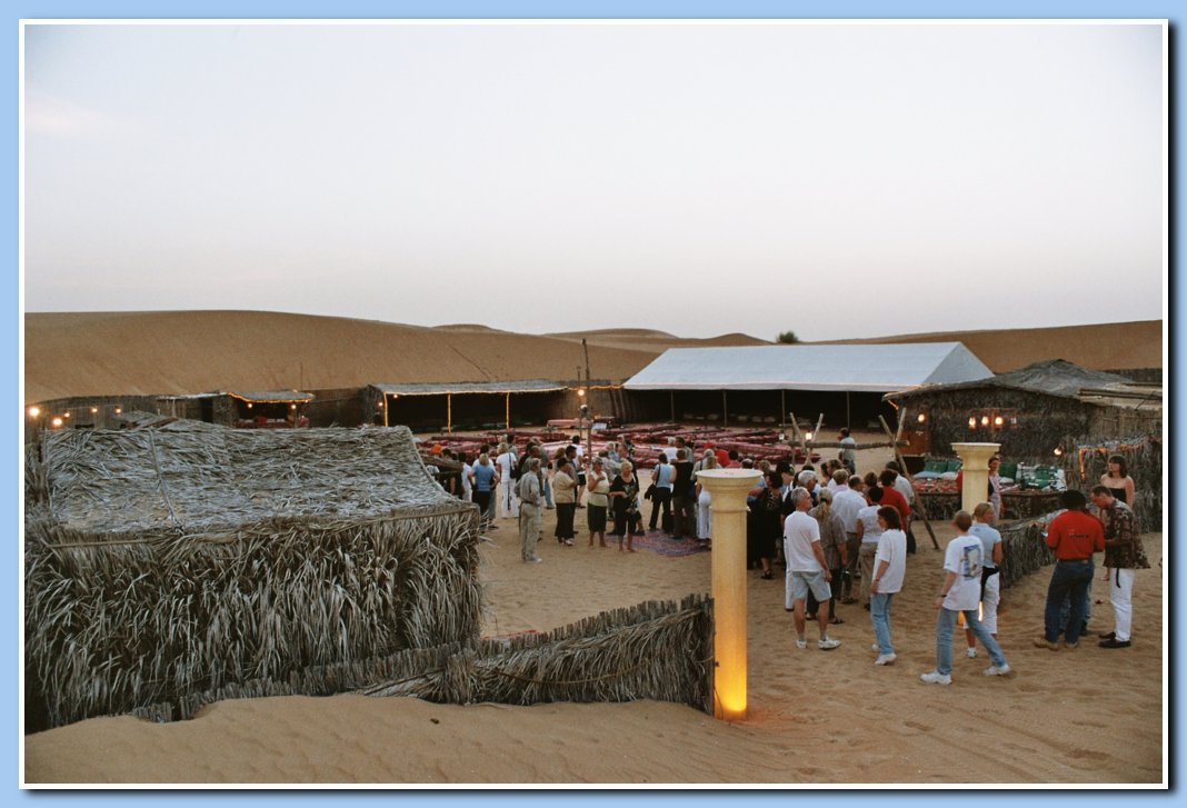 Safari in den Dnen