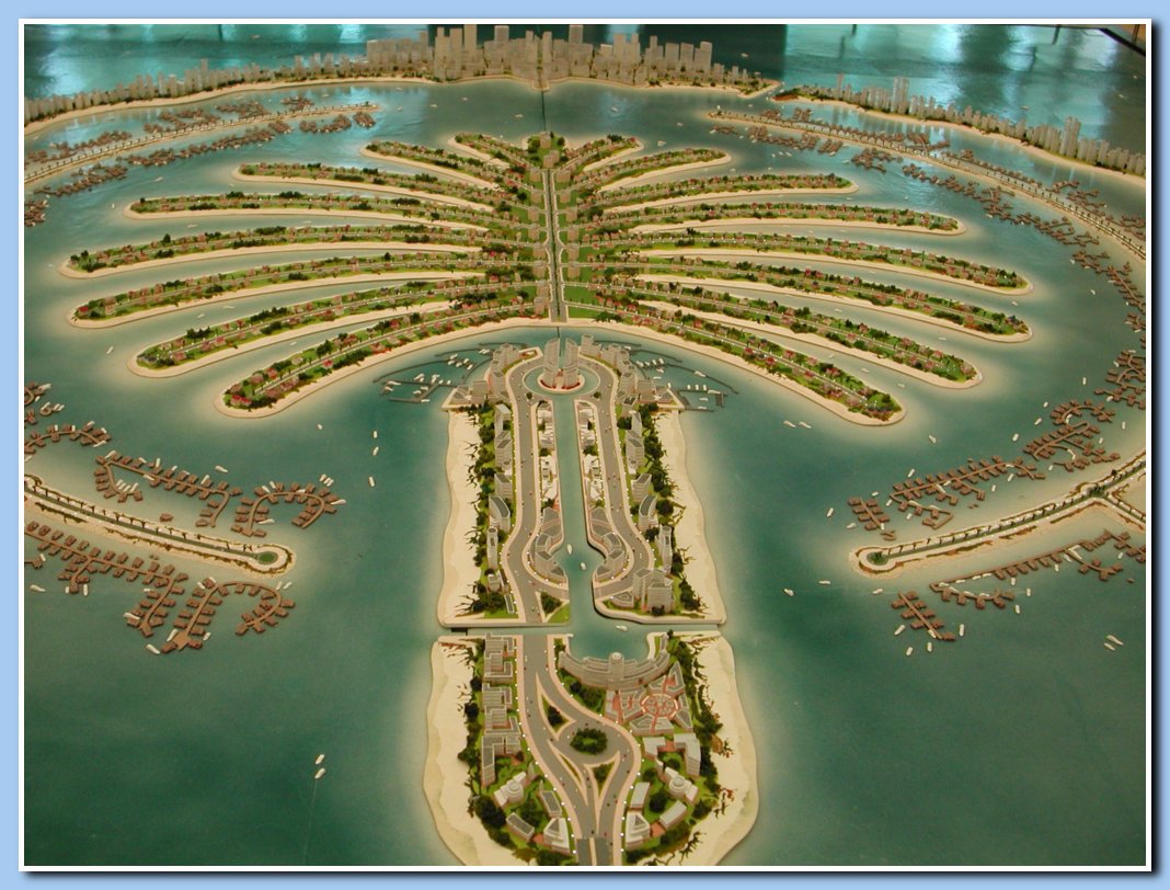 Palm Island Office