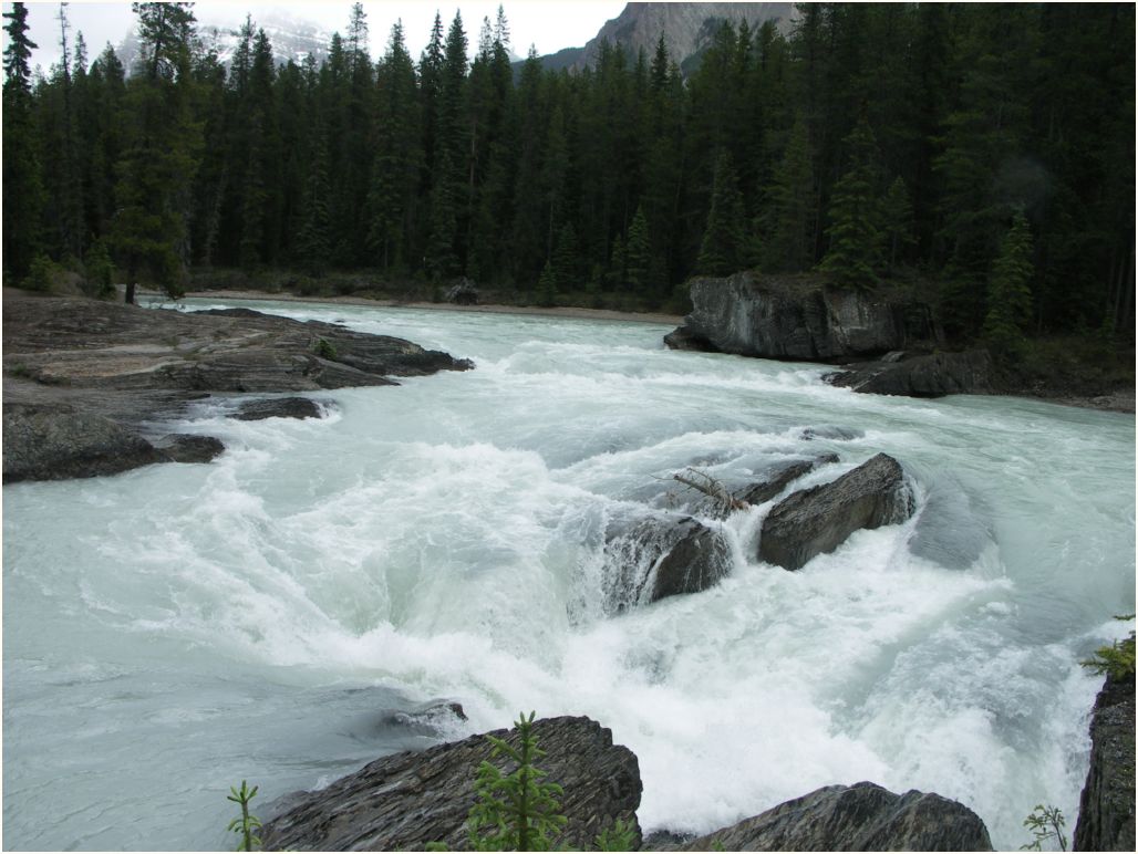 revelstoke nat. park