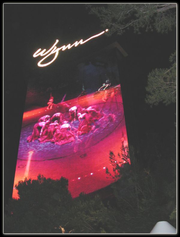 hotel wynn